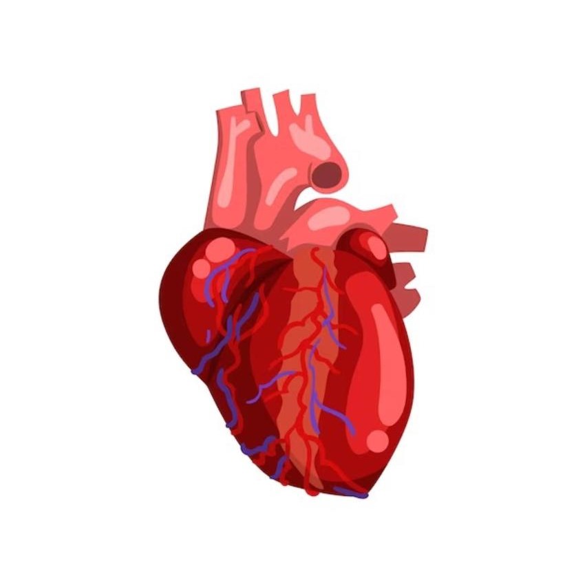 Cardiologist