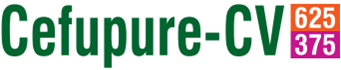 CEFUPURE - CV